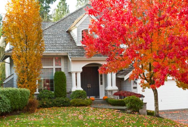 fall season at house